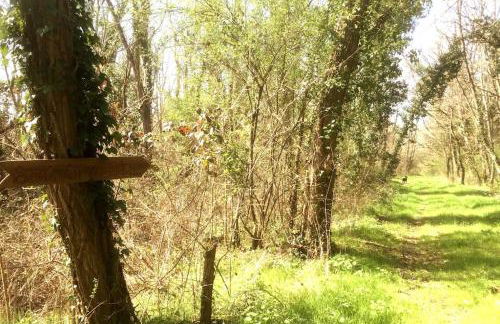 Le mur des beaunes - Photo 39