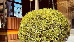 Vila da Serra Differential - Foto 4