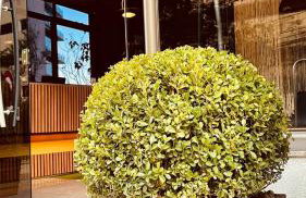 Vila da Serra Differential - Foto 4