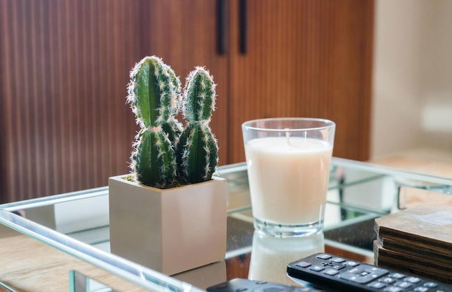 Sloan's Lake Mid-mod Escape - Foto 7