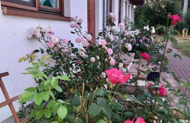 Cichosza - The Sound Of Silence - Foto 2