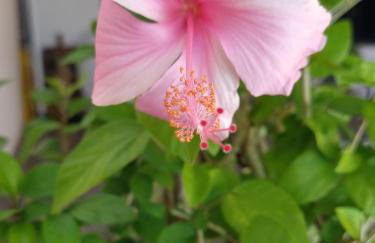 Check-in AUTÔNOMO e Privacidade em Hidro, piscina, casa, garagem até 2, até 3 quartos e 3 ar, 2 banheiros, churrasqueira, máquina de lavar roupas, roupa de cama, todos privativos, insira valor 3 hóspedes e abrimos 2 quartos, já 5 hóspedes usam 3Q - Foto 44