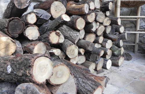 Cal Teulats - Masoveria - Foto 33