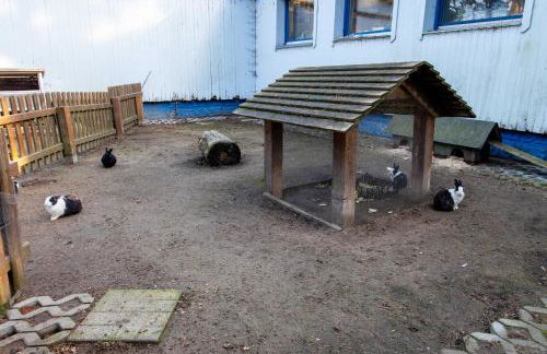 Ferienanlage Zum Knirk - Foto 10