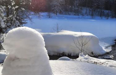 Ferienhaus Rosemarie Erlbach Vogtland - Foto 28