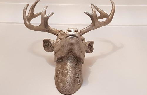 Bismarck-Apartment - Foto 11