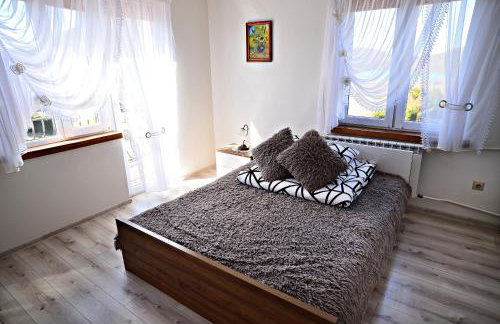 Apartament z tarasem i pokoje KLIMATYZOWANE -Drozdówka Solina - Foto 53