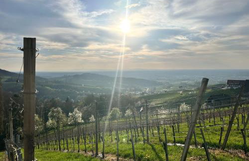 Schwarzwald Martini - Foto 21