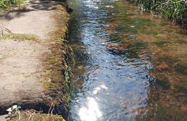 Les charmes de la Kirneck - Photo 24