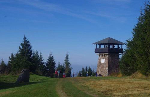 Natur pur im Nationalpark Schwarzwald - Foto 18