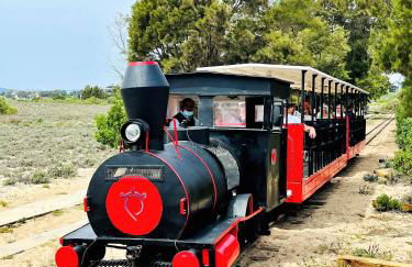 Beach House Pedras D'el Rei - Foto 61