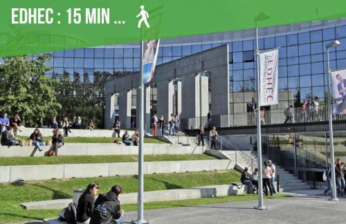 Le cosy botanique - Foto 21