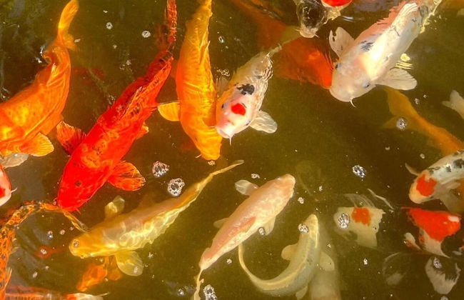 Open Sky Villa - Foto 19