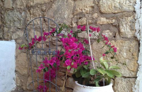 Koutsounari Traditional Cottages - Foto 137