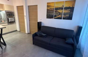 Magnifique T2 Meyzieu neuf charme et élégance - Foto 19