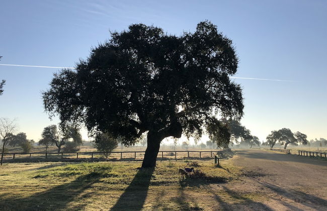 Pozo Amores - Foto 18