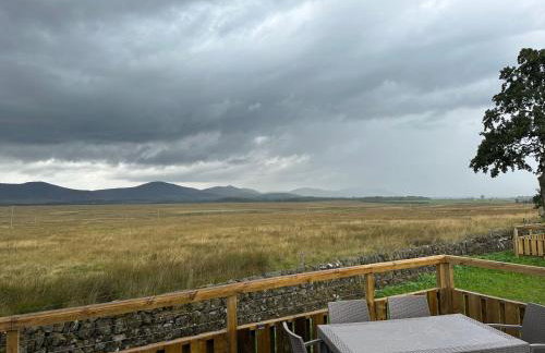 Green Law - Dog Friendly - Foto 15