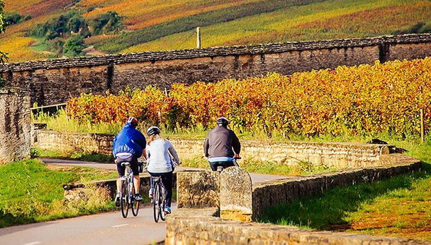 1 journée de vélo électrique et de découverte des vins de la Côte de Nuits au départ de Dijon - Photo 3, tour complet de la Bourgogne à vélo