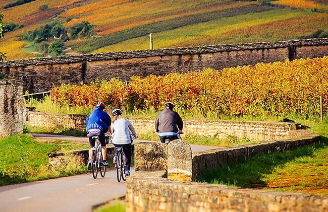 1 journée de vélo électrique et de découverte des vins de la Côte de Nuits au départ de Dijon - Photo 3