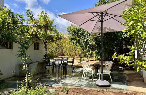 *.* Haut de villa U Nespulu di Anghjulina *.* - Foto 7