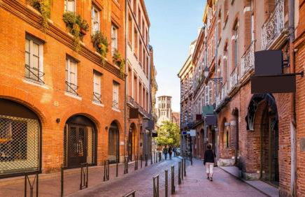 Charmant appartement Toulouse - Foto 20