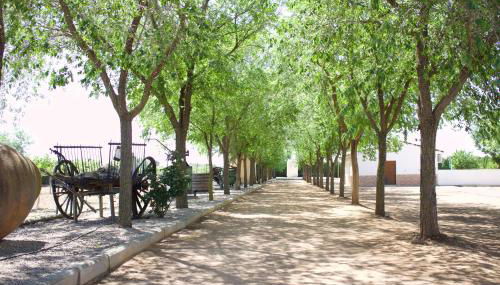 Lujosa casa en la cuna del Quijote - Photo 2