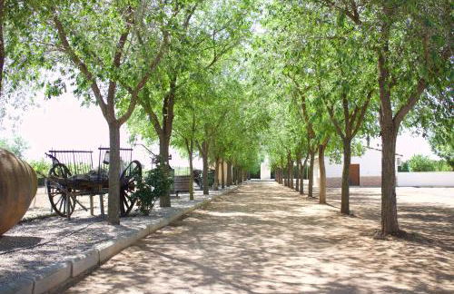 Lujosa casa en la cuna del Quijote - Photo 2