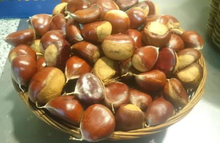 Casa MiraXurés con vistas a la Sierra del Xurés - Foto 48