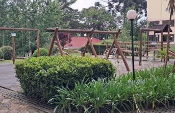 Canto araucarias - Foto 20