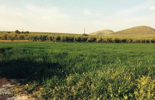 La Casita de Blanca - Foto 32