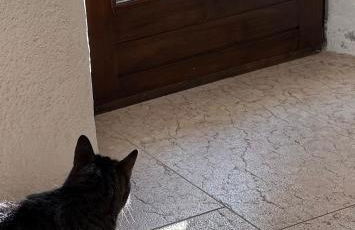 Seeblick und offener Kamin - Casa di Florian - Photo 59