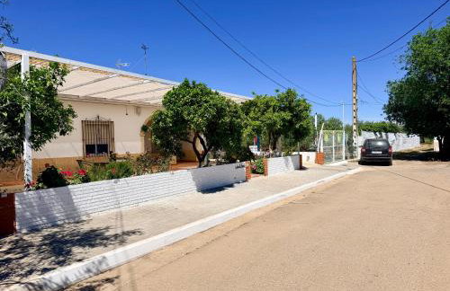 La Casa del Flamenco - Photo 2