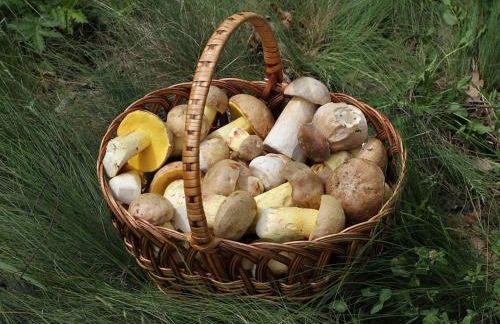 Antica Dimora Julia - Foto 46