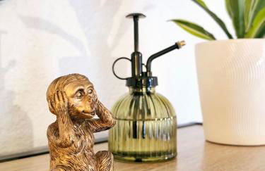 Gite "RIO", parking securise - Photo 12