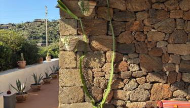 Dammuso Pensare alla Luna - Foto 2