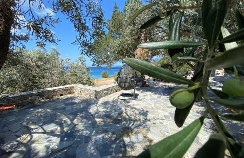 Sun Senses beach front villa with private beach - Photo 67