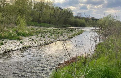 Ruhr-Wald-Blick - Foto 39