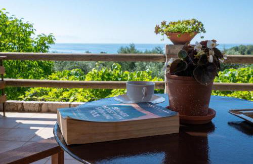 Petalidi Olive Garden Stone House near the beach - Foto 23