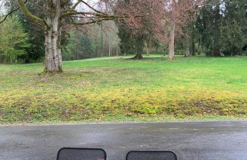 Landsitz Kammerburg - Foto 38