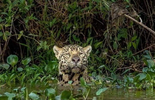 Excursión de 3 días por el Parque Nacional Madidi - Foto 3