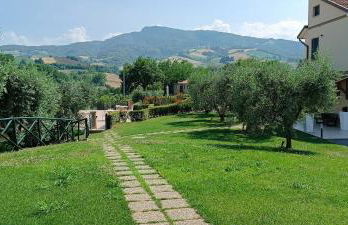 Le Vigne di Clementina Fabi - Foto 58