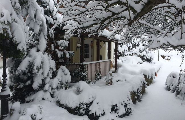 Ferienhaus Hagenwinkel - Foto 14