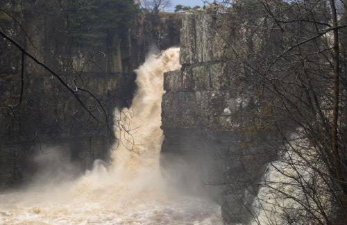 Mews Cottage - Photo 12