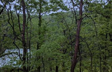 Meet Virginia less than 1 mile from casino and downtown - Photo 30