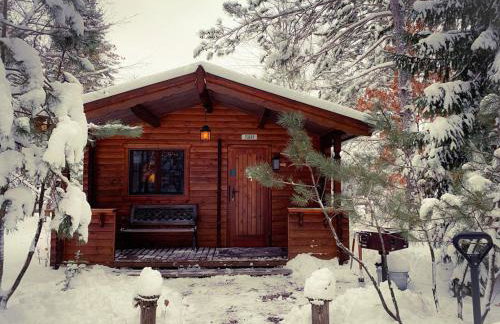 Honeybear Hideaway Cabin - Foto 28