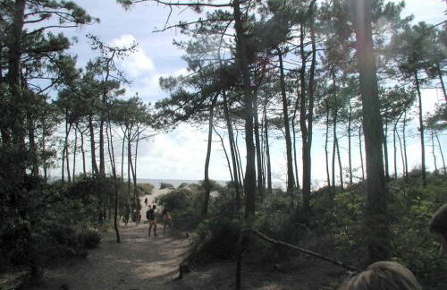 Studio Dunes aux Ecureuils - Foto 24