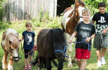 Ferienhof Henn - Foto 21