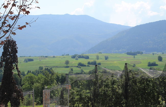 Agriturismo Maso Alle Rose - Foto 23