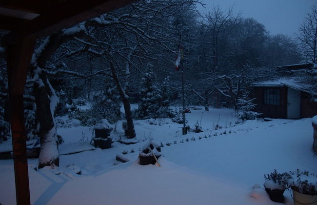 Ferienhaus Hagenwinkel - Foto 17