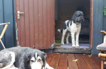 Ältestes Haus in Quentel - Ferienwohnung 2 mit Dachterrasse - Foto 22